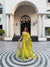 Butterfly Net Lehenga Set with Blouse & Dupatta