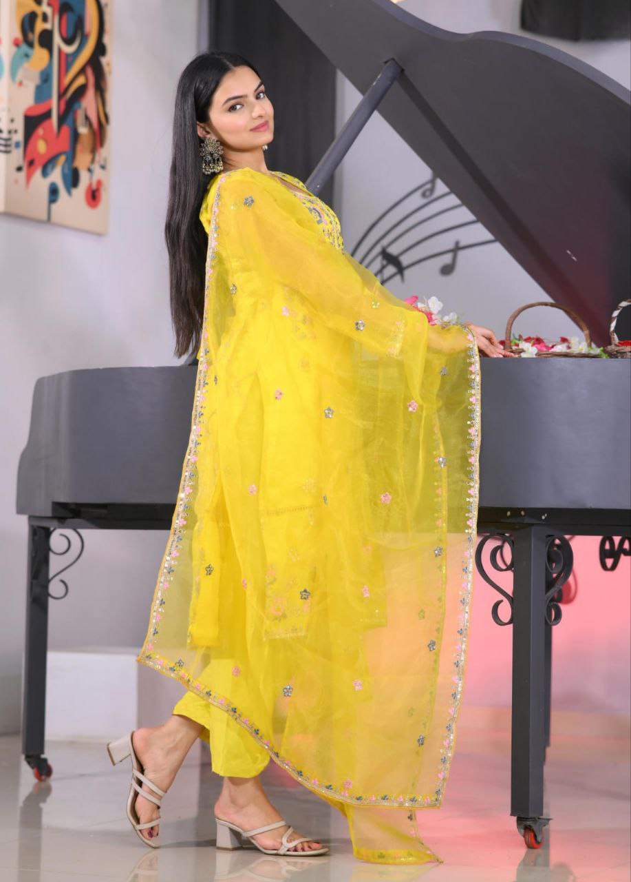 Designer Organza Embroidered Suit Set | Festive Ethnic Wear Drape Dress