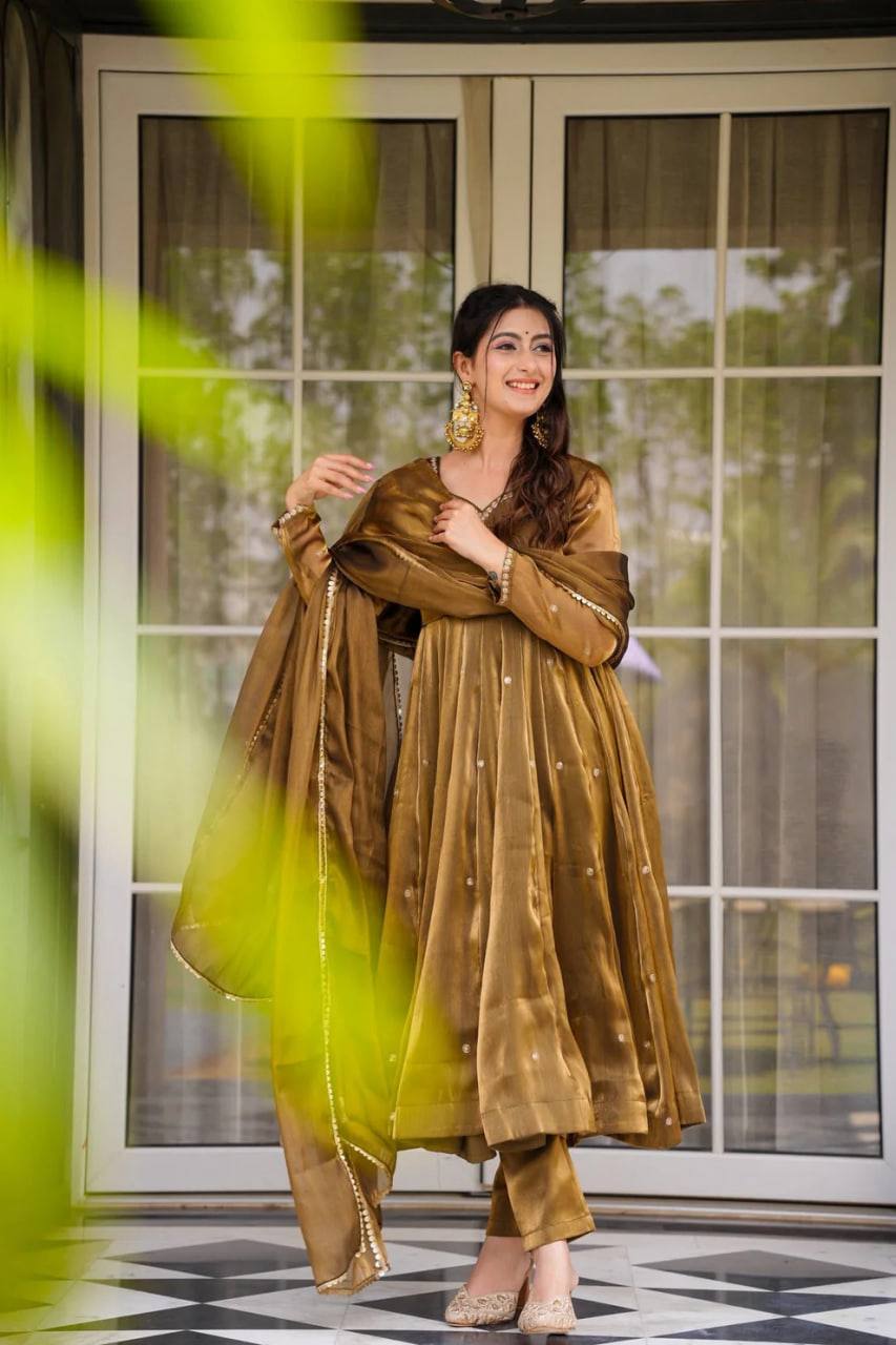 Wonderful Anarkali Gown