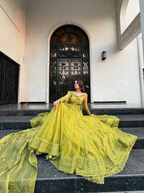 Butterfly Net Lehenga Set with Blouse & Dupatta