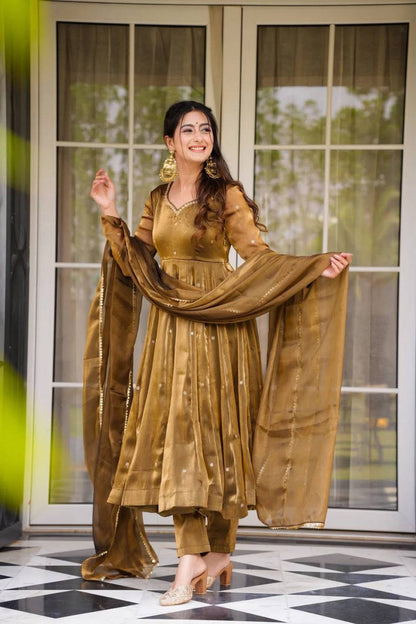 Wonderful Anarkali Gown 