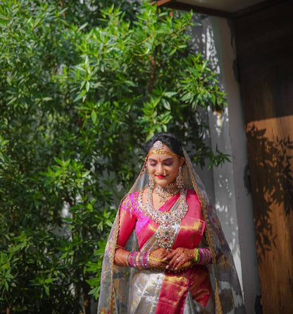 Gray Traditional Kanchipuram Silk Saree with Rani Border Blouse