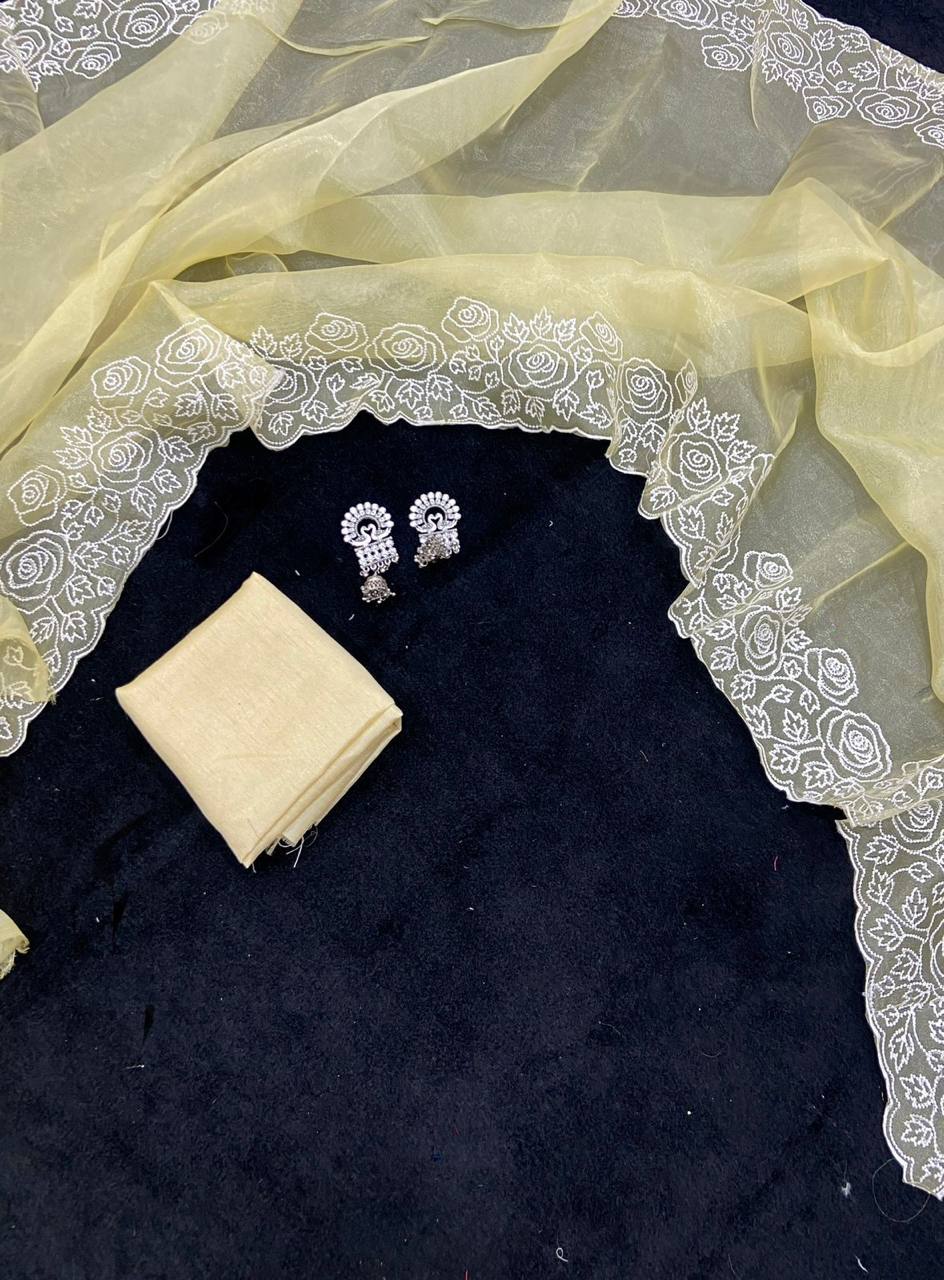 Light Mehndi Pure Organza Saree with White Embroidery Floral Border