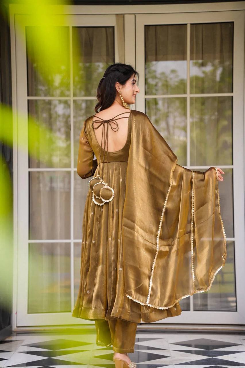 Wonderful Anarkali Gown