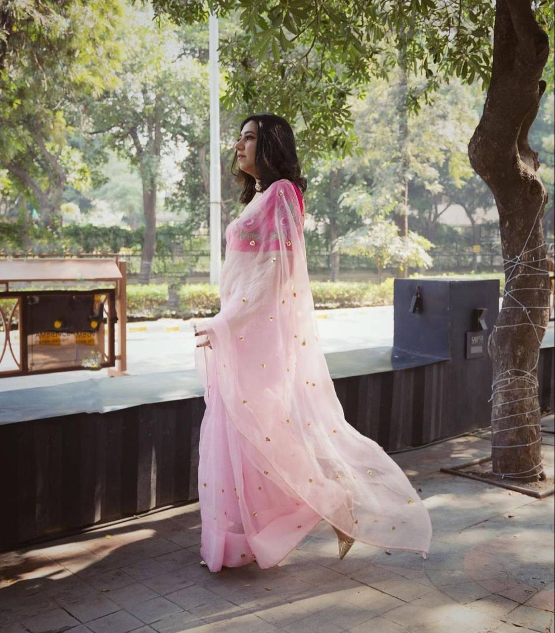 Pink Pure Organza Saree with Designer Printed Handwork Blouse