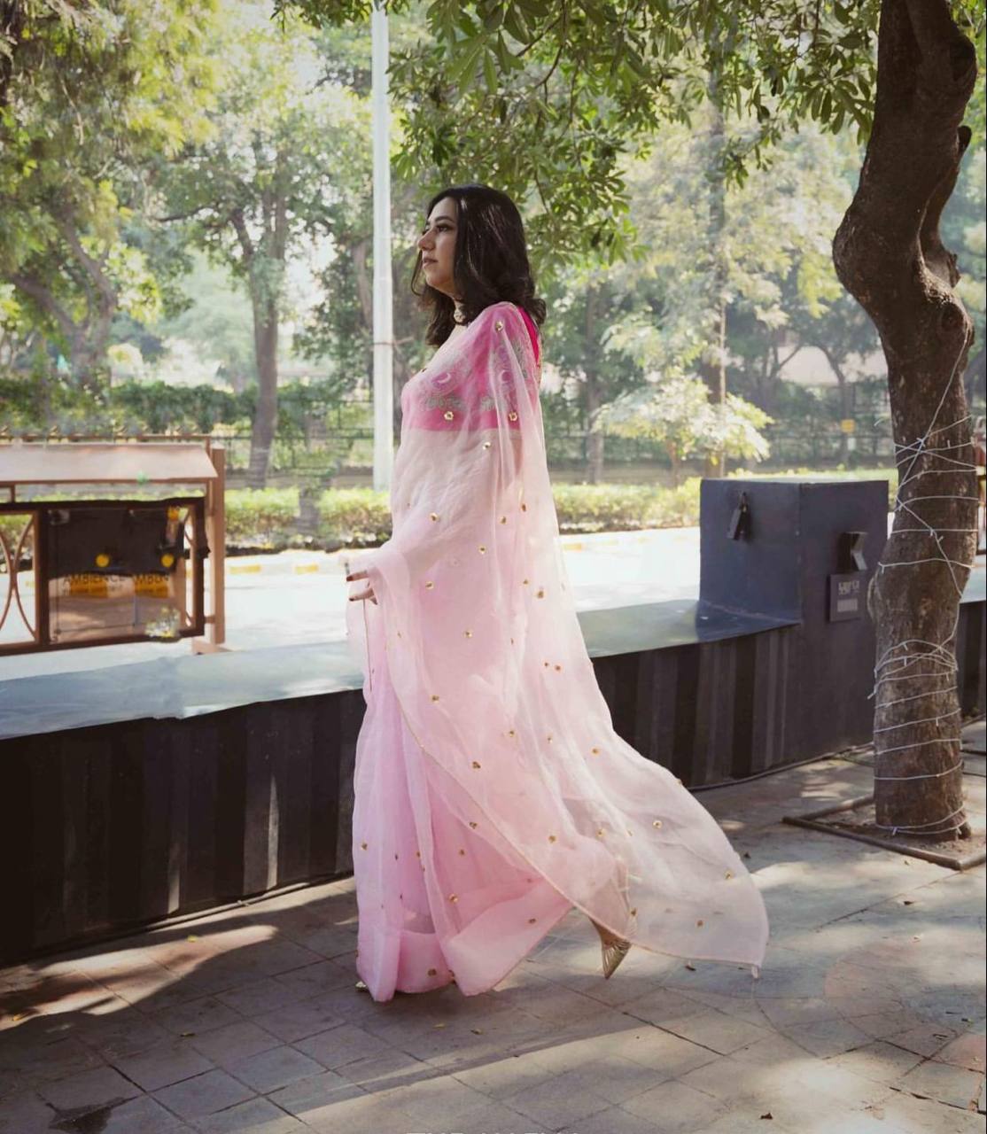 Pink Pure Organza Saree with Designer Printed Handwork Blouse