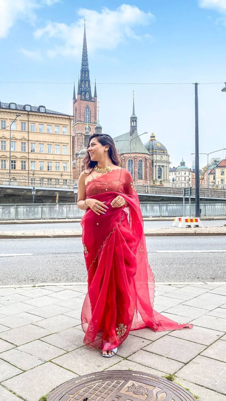 Red Handcrafted Organza Saree with Embroidery Banglori Satin Blouse
