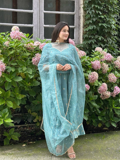Sky Blue Designer Heavy Vichitra Silk Gown with Dupatta and Pant